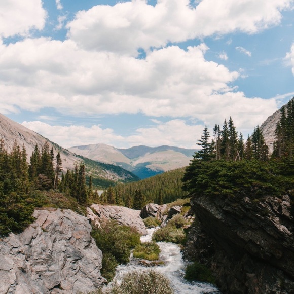 Meet your Posher, Scarlett - Picture 2 of 2